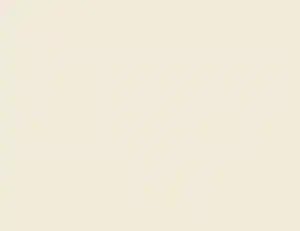 Vliestapete Uni Flitter Beige