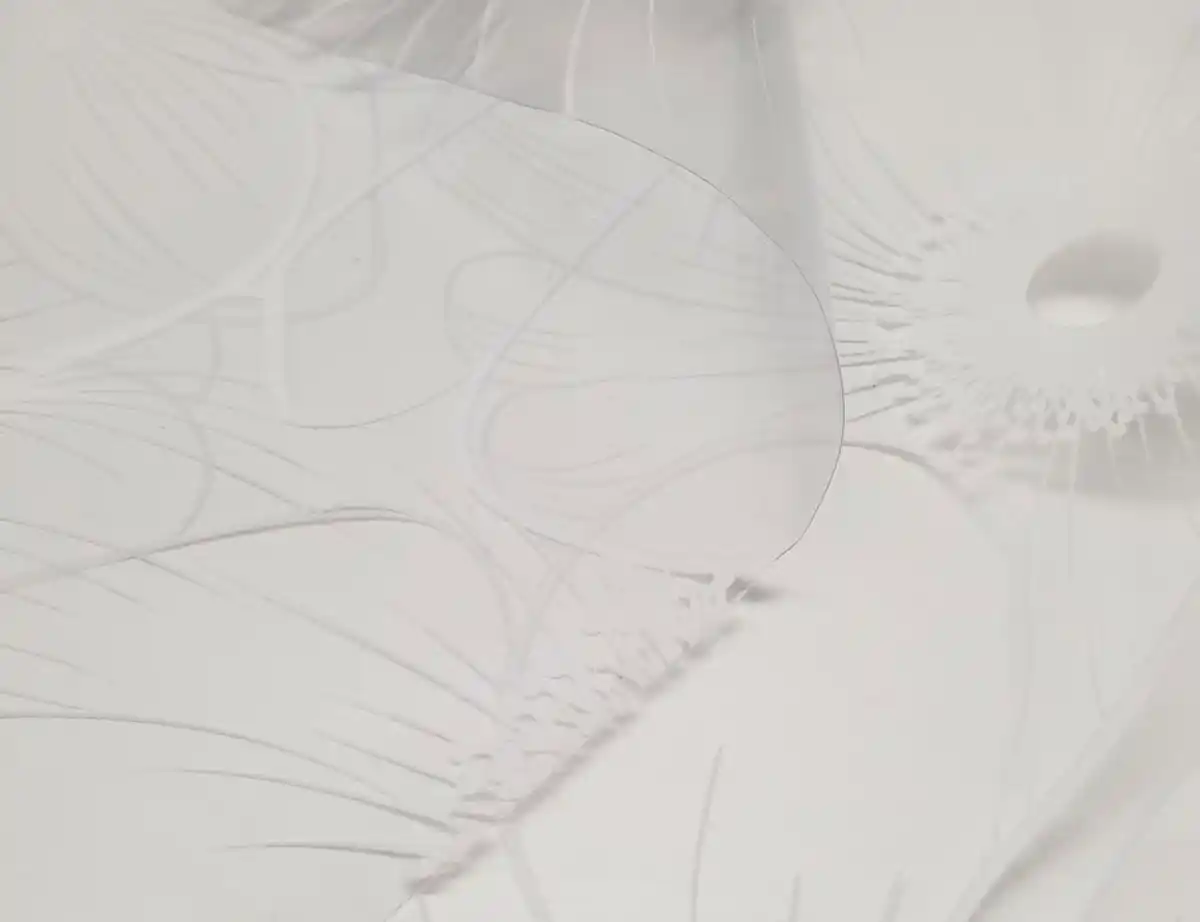 Bild 3 von Folie Blumen Weiß