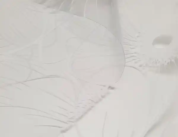 Bild 3 von Folie Blumen Weiß