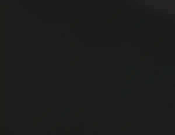 Bild 2 von Kunstleder Uni Schwarz I