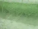 Bild 1 von Tischläufer Grün Nonwoven