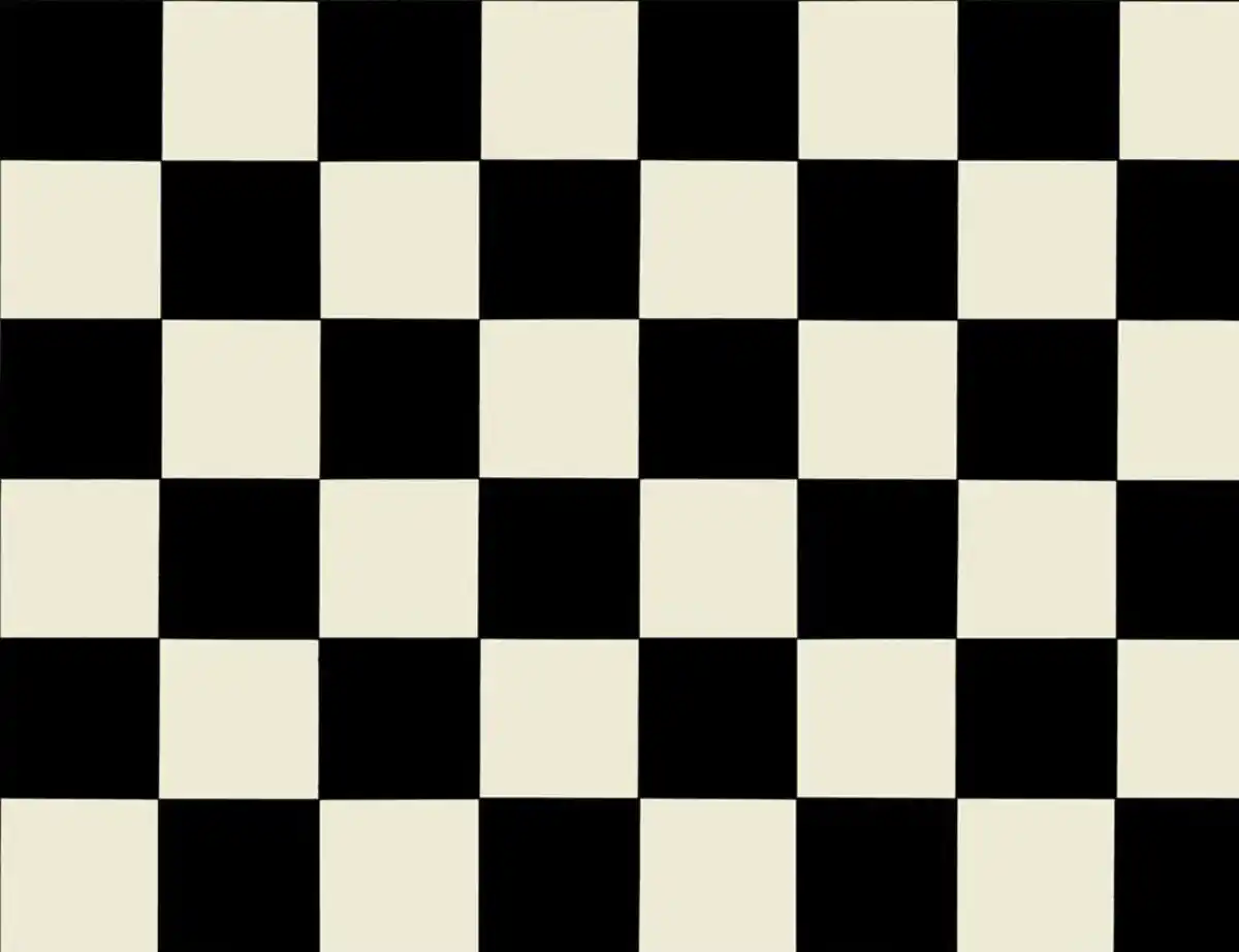 Bild 2 von PVC Altenburg Schwarz-Weiß