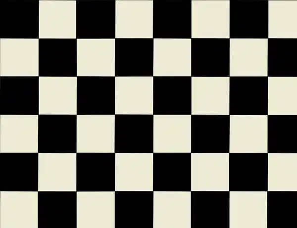 Bild 2 von PVC Altenburg Schwarz-Weiß