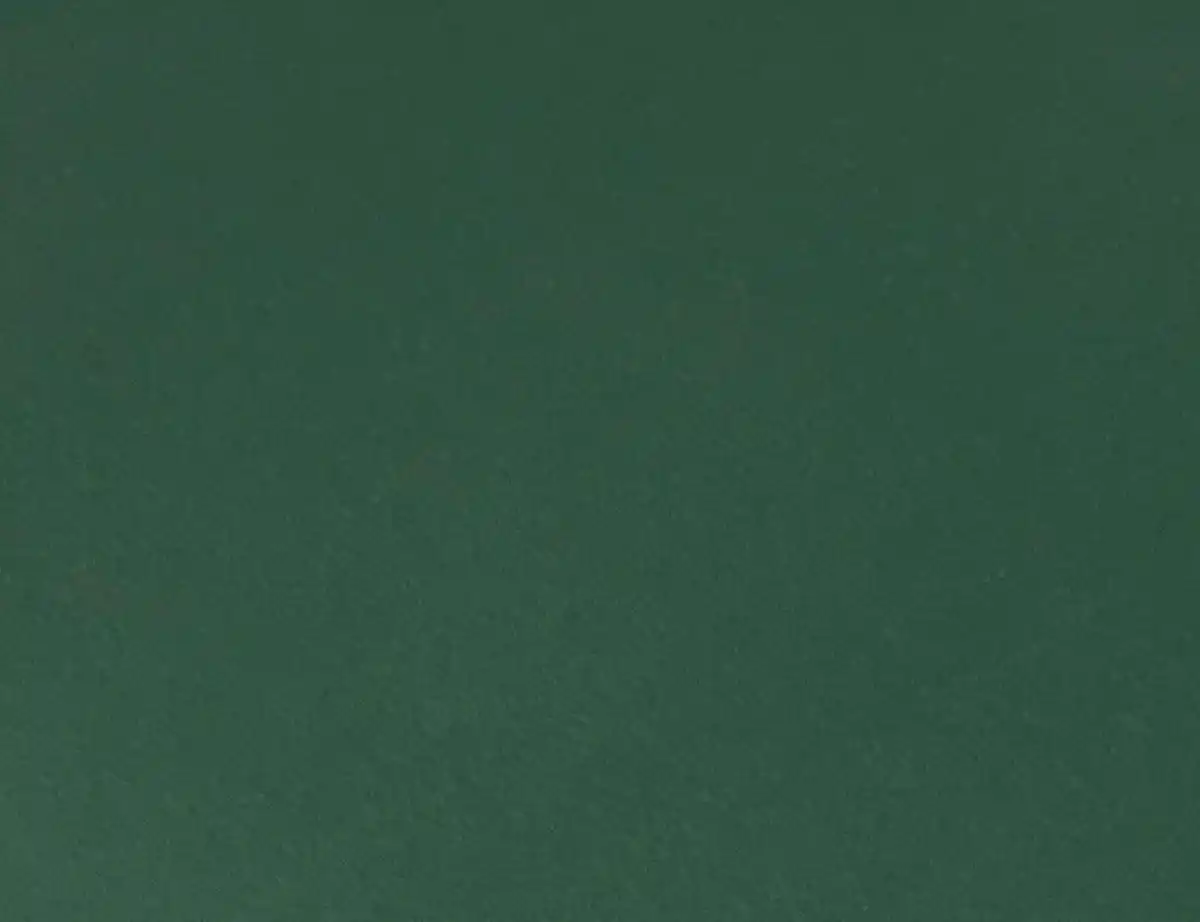 Bild 2 von Jerseystoff Uni Dunkelgrün