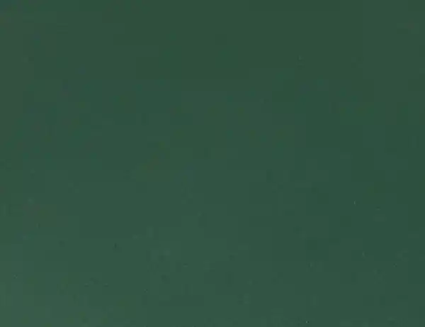 Bild 2 von Jerseystoff Uni Dunkelgrün