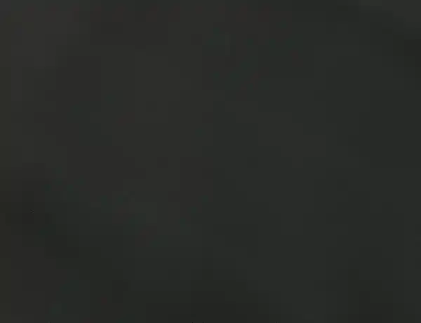 Bild 2 von Dekostoff Verdunklung Schwarz I