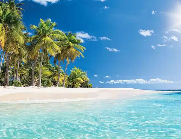 Bild 1 von Fototapete KARIBIK 3