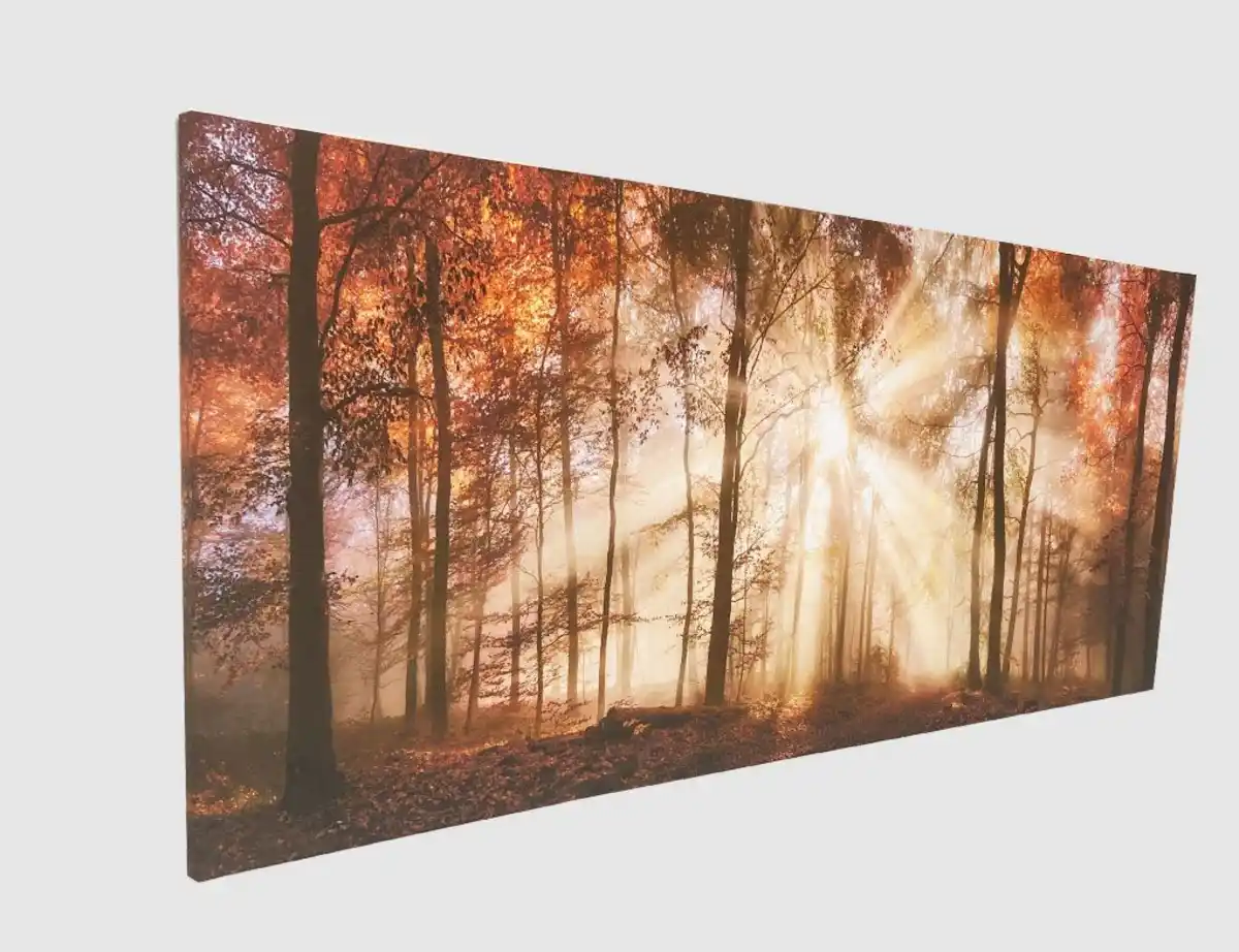 Bild 2 von Bild Sonnenwald