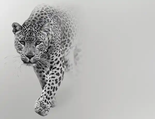Bild 1 von Fototapete LEOPARD