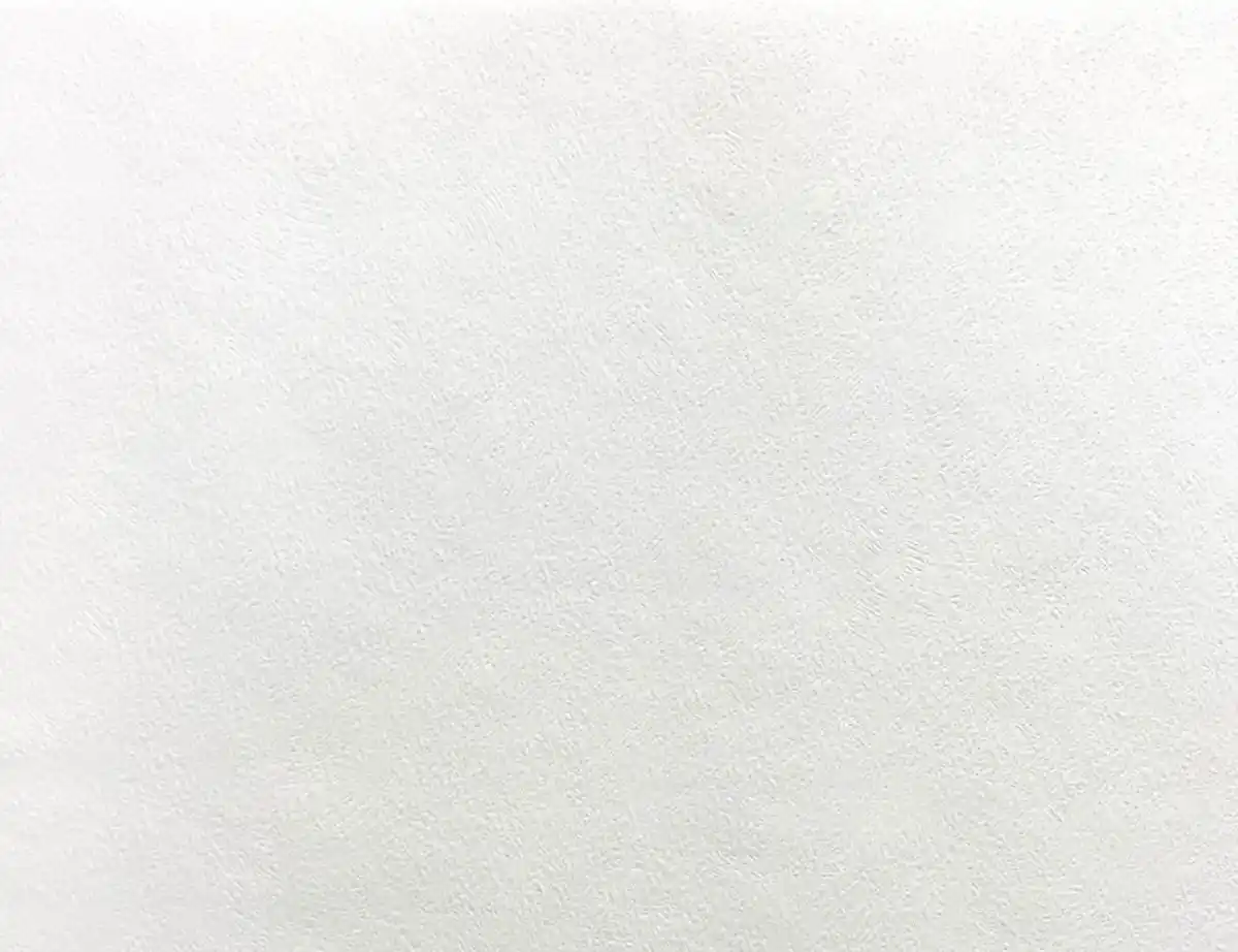 Bild 1 von Papiertapete Uni Weiß