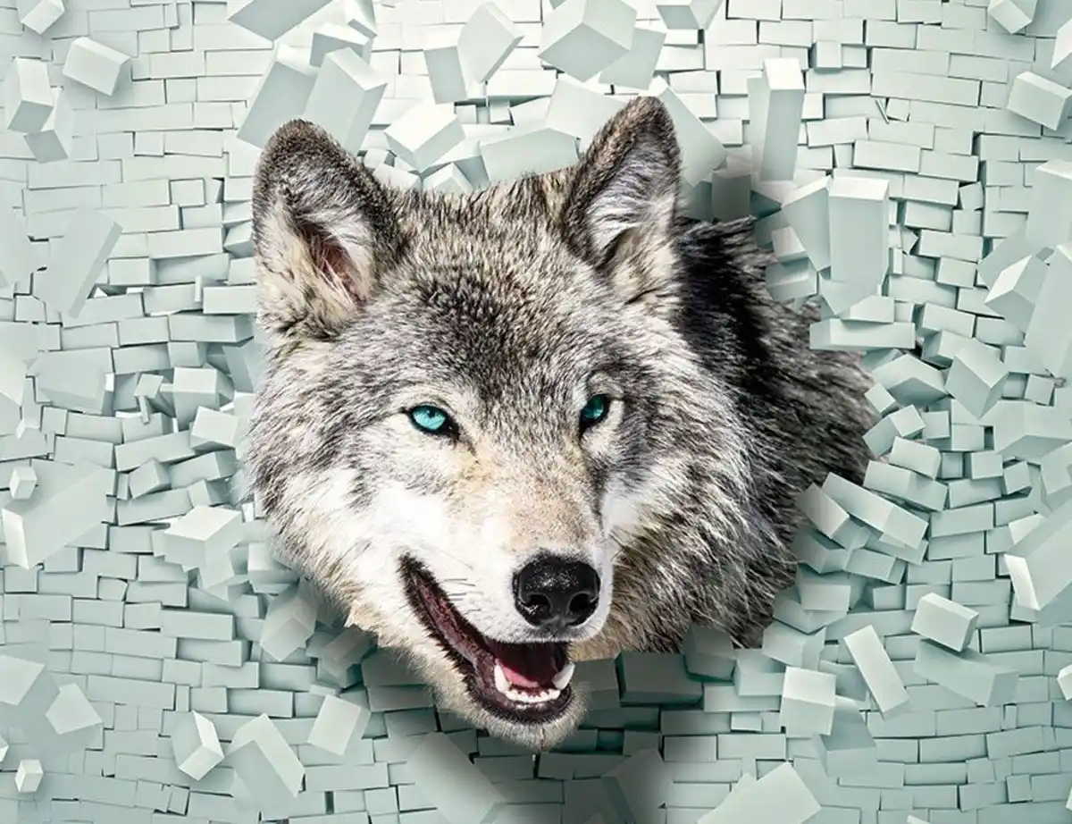 Bild 1 von Fototapete WOLF