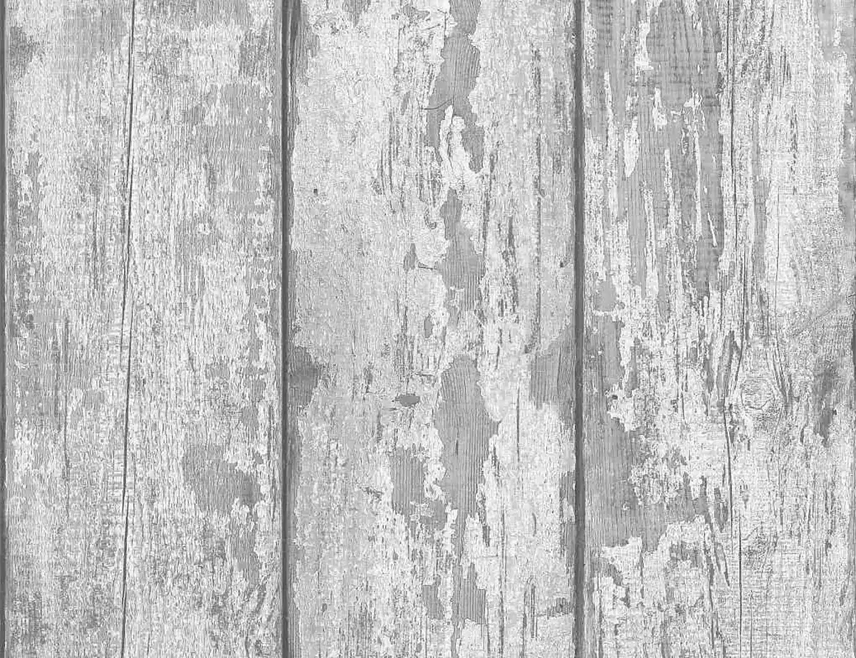 Bild 1 von Papiertapete Holz Grau