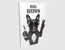 Bild 1 von Bild Big Boss