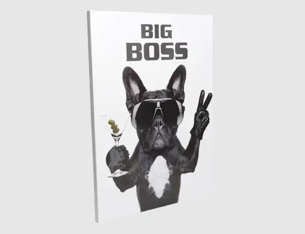 Bild 1 von Bild Big Boss