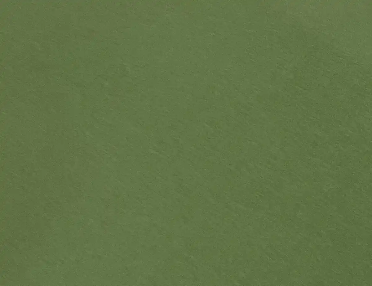 Bild 2 von Jerseystoff Uni Moosgrün