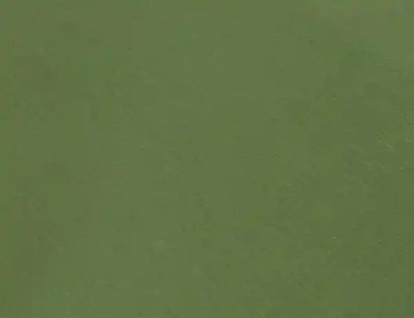 Bild 2 von Jerseystoff Uni Moosgrün