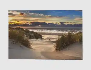 Bild Dünenlandschaft