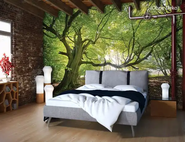 Bild 3 von Fototapete WALDBLICK