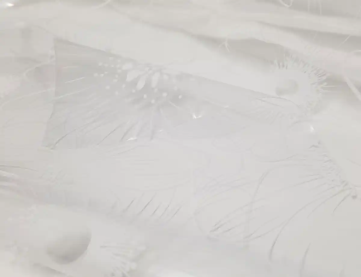 Bild 2 von Folie Blumen Weiß