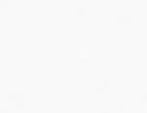 Glatt & Renoviervlies Uni weiß