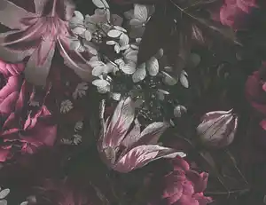 Vliestapete Blume Schwarz, Rot