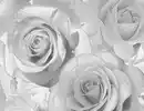 Bild 1 von Papiertapeten Rosen grau