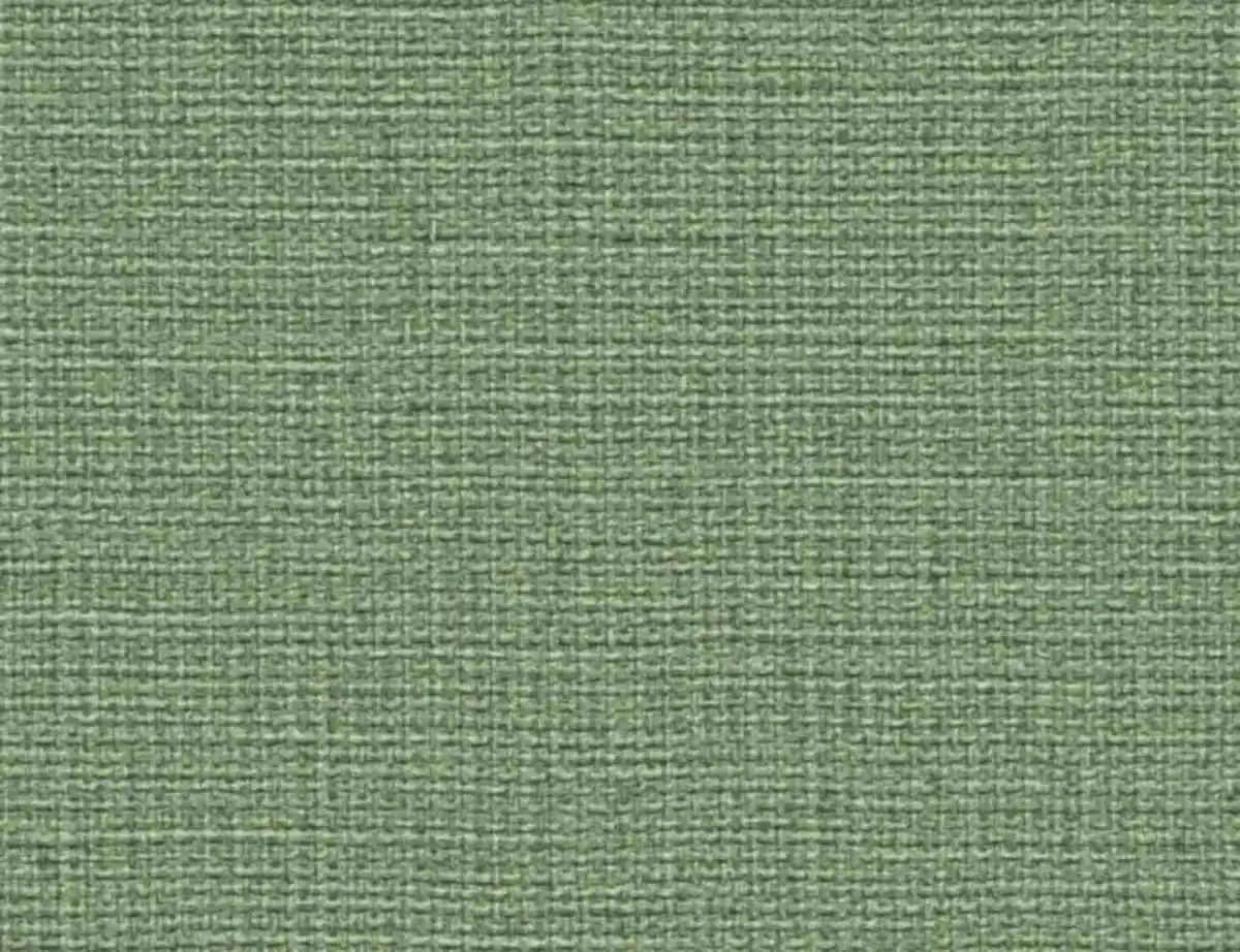 Bild 1 von Vliestapete Uni Grün