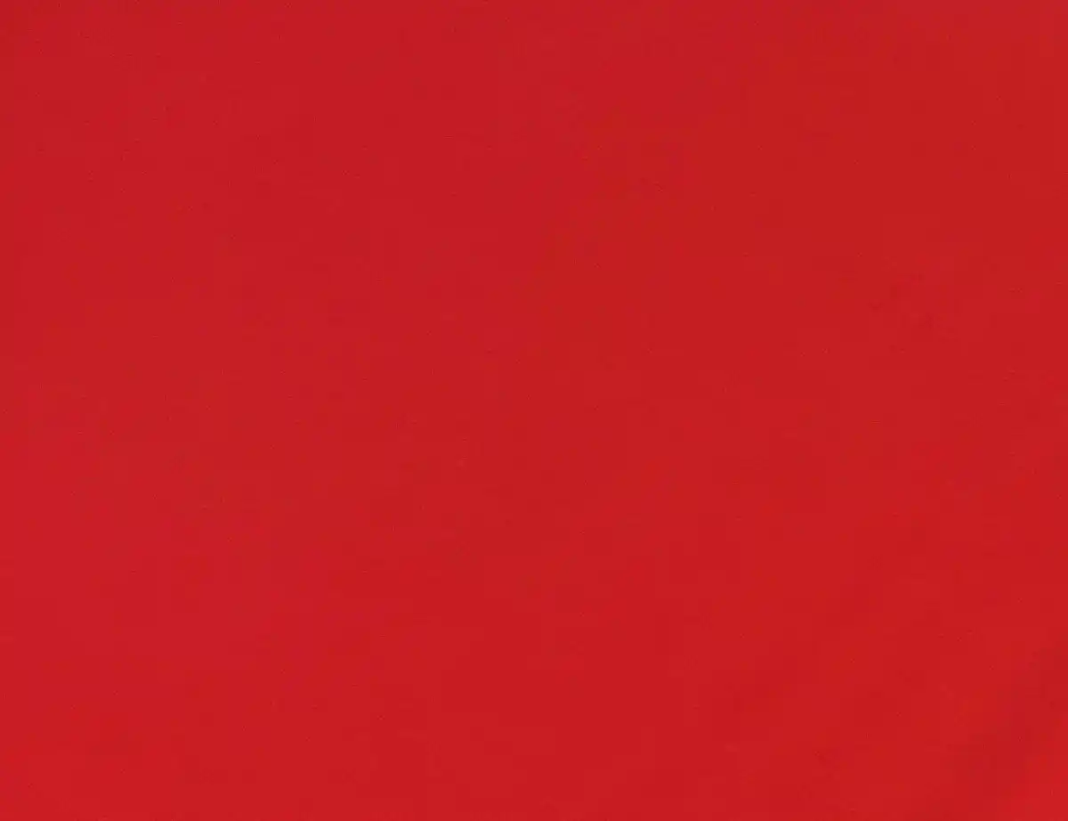 Bild 2 von Jerseystoff Uni Feuerwehrrot