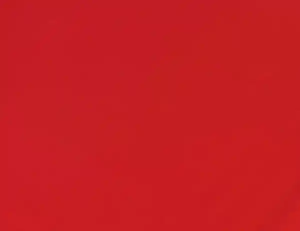 Bild 2 von Jerseystoff Uni Feuerwehrrot