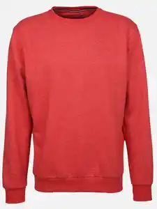 Herren Sweatshirt in melierter Optik Orange