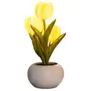 Bild 1 von LED-Tulpe