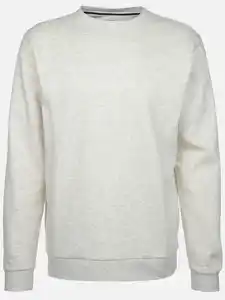 Herren Sweatshirt in melierter Optik Beige