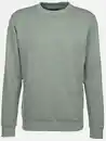 Bild 1 von Herren Sweatshirt in melierter Optik Grün