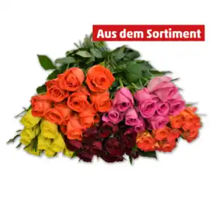 Wunderschöne Fairtrade-Rosen