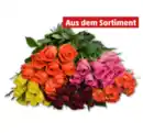 Bild 1 von Wunderschöne Fairtrade-Rosen