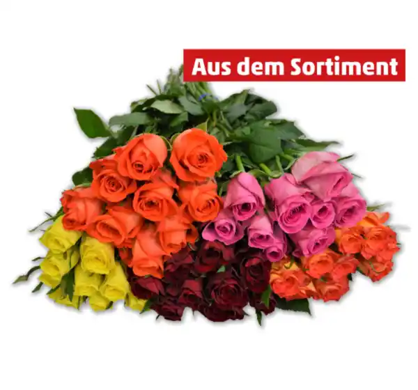 Bild 1 von Wunderschöne Fairtrade-Rosen