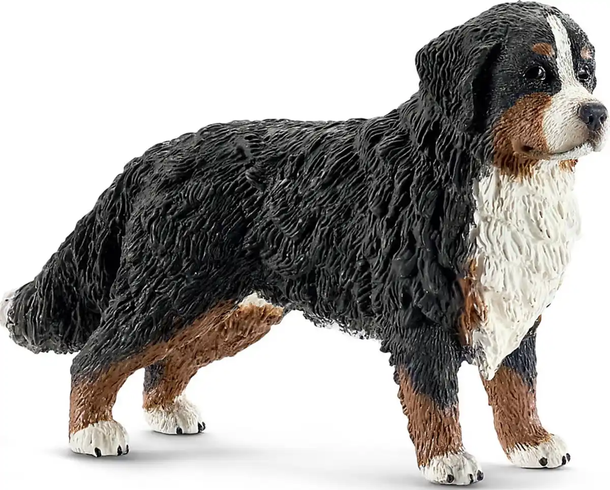 Bild 1 von Schleich 16397 Farm World Berner Sennenhündin