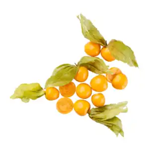 Physalis 100g