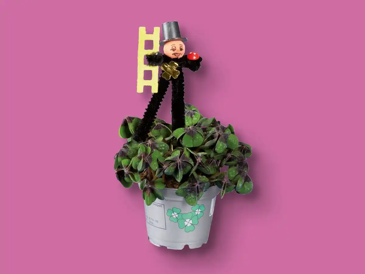 Bild 1 von Glücksklee mit Schornsteinfeger