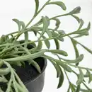 Bild 3 von FEJKA Topfpflanze, künstlich, drinnen/draußen/Senecio radicans hängend 9 cm