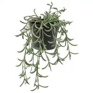 FEJKA Topfpflanze, künstlich, drinnen/draußen/Senecio radicans hängend 9 cm