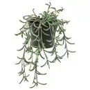 Bild 1 von FEJKA Topfpflanze, künstlich, drinnen/draußen/Senecio radicans hängend 9 cm