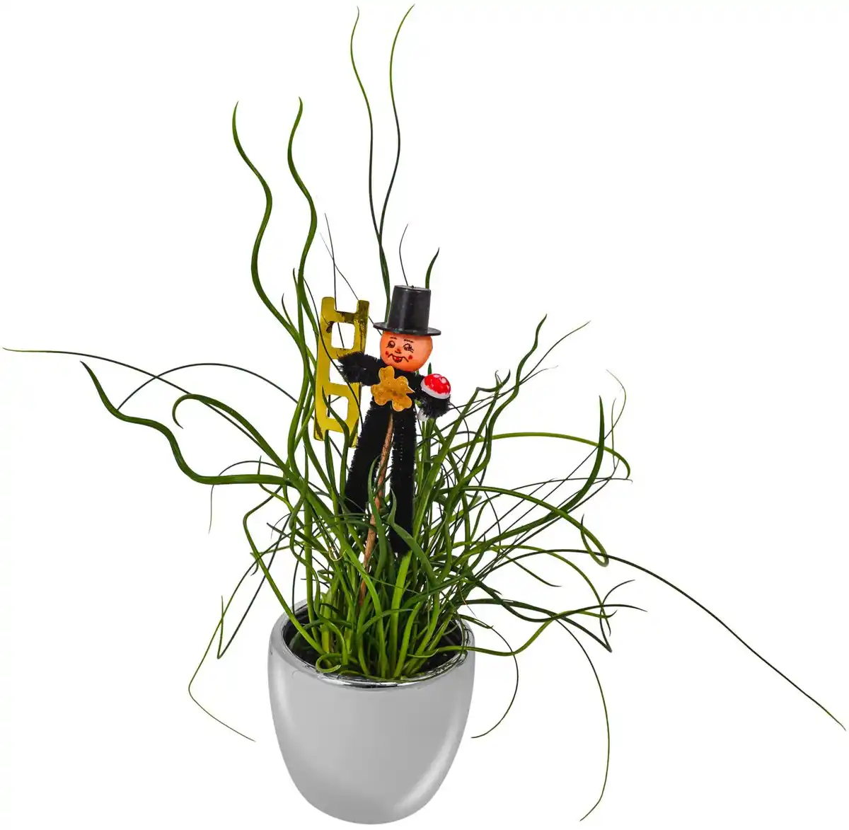 Bild 2 von Mini-Silvester-Pflanzen