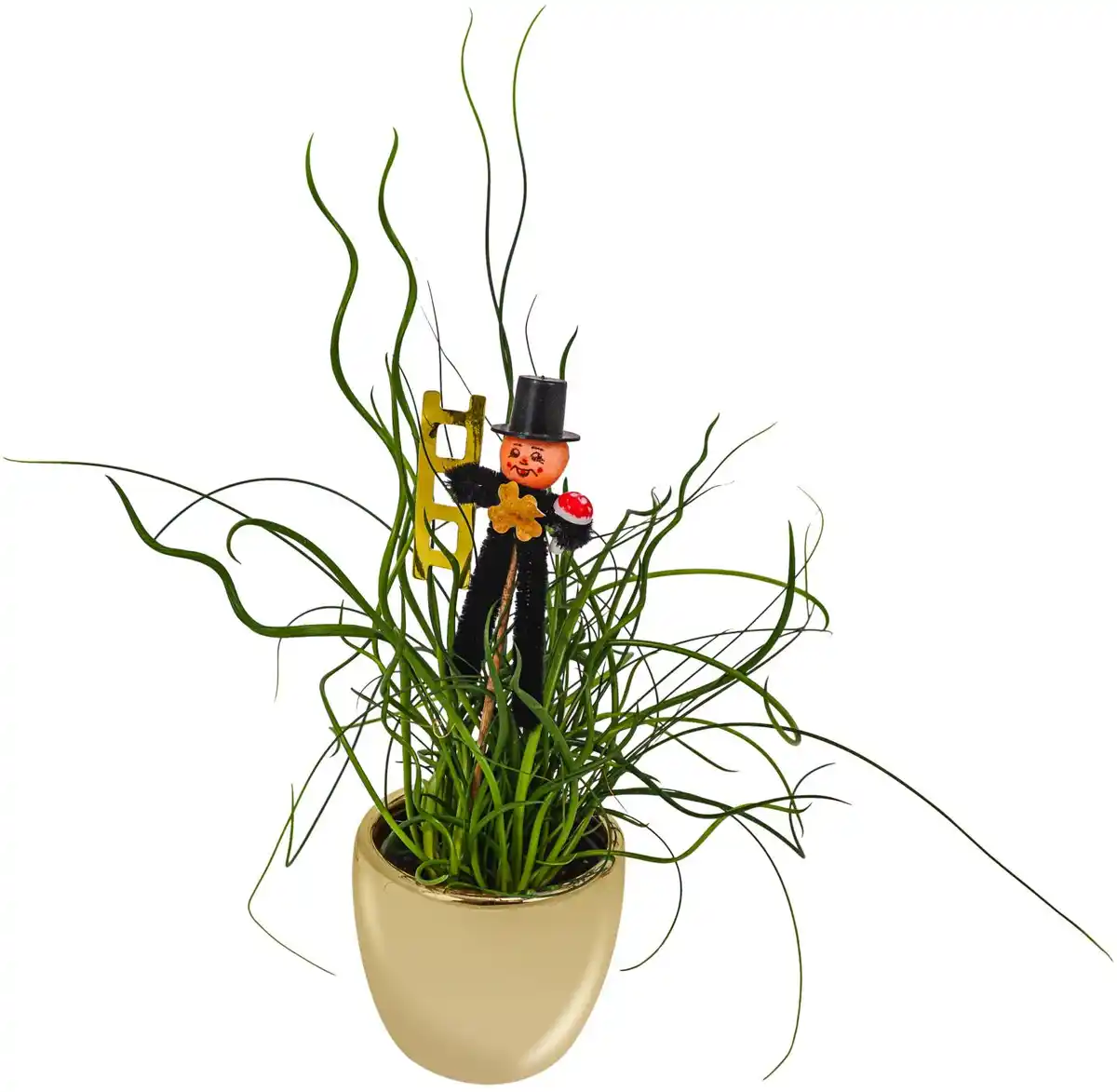 Bild 1 von Mini-Silvester-Pflanzen