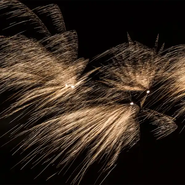 Bild 2 von Nico Feuerwerk/Powertec Drachengold