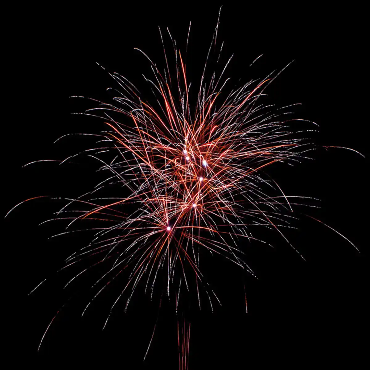 Bild 3 von Nico Feuerwerk/Powertec Valhalla Calling