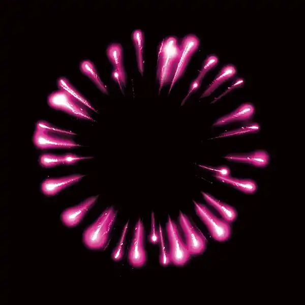 Bild 2 von Nico Feuerwerk/Powertec High Five