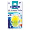 Bild 2 von Dr. Beckmann Kühlschrank-Frische / Hygiene-Reiniger