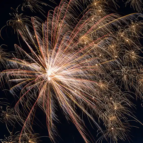 Bild 2 von Nico Feuerwerk/Powertec Task Force