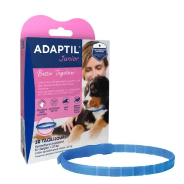 Bild 1 von ADAPTIL Junior Halsband Anti Stress Erziehungshalsband